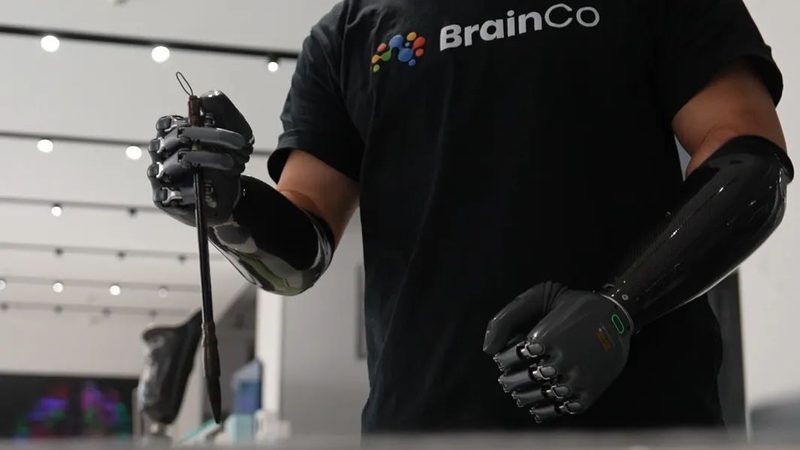 揭秘免费开源RPA开发平台：如何构建高效自动化工作流