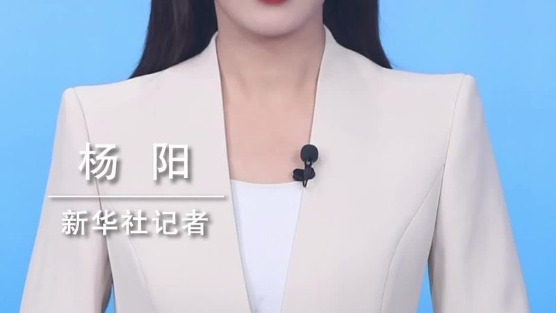 数据中台：构建企业数字化转型的核心枢纽